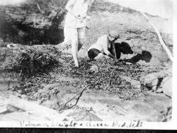 Vivian Wright and Alice Riddell, about 1915