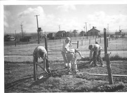 Unidentified photo of the Rosebrook and Whitham family of Windsor and Sebastopol, 1950s