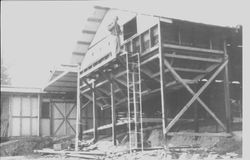 Large poultry building being constructed on Anne Cherney's chicken ranch on Burnside Road