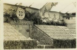 1910 Gravenstein Apple Show display of boxes of apples of sponsored by the Sebastopol Apple Growers Union California (SAGU)
