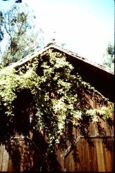 Remains of an apple dryer (evaporator) on Occidental Road near Barlow Lane in west Sonoma County