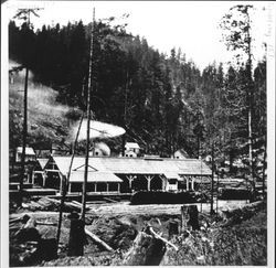 Streeten's Mill in Camp Meeker, California, 1883