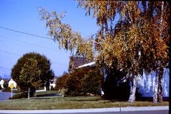 Daniel Street at Tocchini Street in the Belmont Terrace neighborhood of Sebastopol, California, 1970