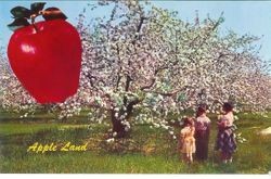 Apple tree orchard in bloom with three children looking on and inset of large red apple, about 1950