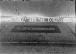 Gravenstein Apple Show exhibit, about 1915 in Sebastopol, showing display of Garcia & Maggini Co. Bon-Ton Brand apples