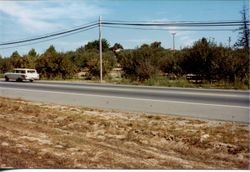 Highway 116 as seen from Don and Marcia Hallberg's Fruit Stand 1975 on Gravenstein Highway North