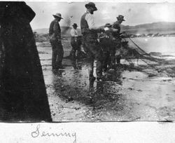 Seining (net) fishing, possibly at Bodega Bay area