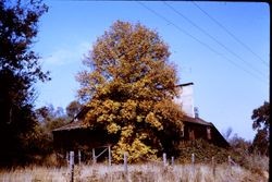 Unidentified Sebastopol area apple dryer (evaporator)