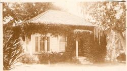 Vine covered Burbank Experiment Farm cottage in Sebastopol