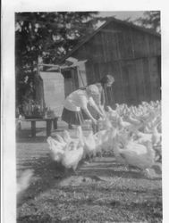 Bunni Myers and friend feeding chickens, about 1920