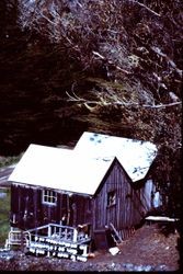 Cabin on Highway 1 south of Tomales, California