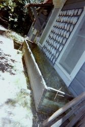 Watertrough and abalone shells at George H. Smith's Georgetown near Sebastopol, California, 1997