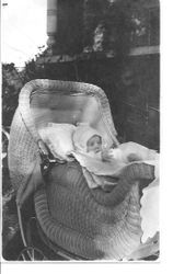 Edwin Harry Steiner, age 3 1/2 months circa 1920