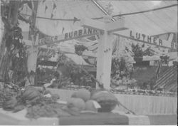 1910 Gravenstein Apple Show display of Luther Burbank with fruit and flowers