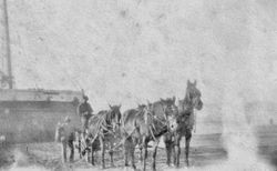 Captain Thomas and Mr. Smith in a horse drawn wagon at Bodega Bay