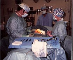 Surgery in progress at Palm Drive Hospital in Sebastopol, California