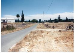 Ripping up the Hallberg Gravenstein apple orchard off Peachland and 116 in Graton in 1999