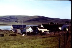 Pacific Natural Woods and other unidentified houses and buildings in Bodega Bay, California, 1977