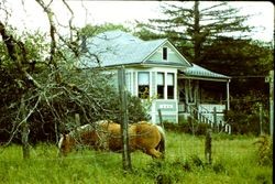 Historic Restoration Award 1983--the Julie Price Home, 4051 Harrison Grade Road, Sebastopol/Occidental, California
