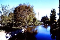 Ives Park in Sebastopol, California, 1970