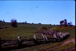 Homesite on dairy land in western Sonoma County, 1991