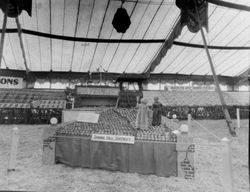 Gravenstein Apple Show display by Spring Hill District illustrating the nursery rhyme "Jack and Jill"