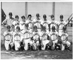 Group photo of Pony League baseball team, The Yankees, 1959