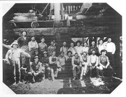 Employees at Sturgeon's Mill Occidental, July 21, 1914