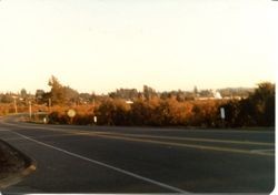 Hallberg Apple Farm roadside stand sign along Gravenstein Highway North (Highway 116), Sebastopol, California, 1979