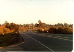 Hallberg Apple Farm roadside stand sign along Gravenstein Highway North (Highway 116), Sebastopol, California, 1979