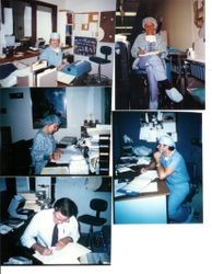 Five photos of different Palm Drive hospital staff members performing paperwork at the Hospital in 1985