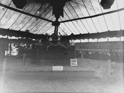 1930s Gravenstein Apple Show display by the Sebastopol Chamber of Commerce of Humpty Dumpty on a wall made of apples