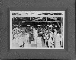 Interior of packinghouse Number 2 in Sebastopol, California