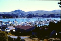 Spud Point Marina,Bodega Bay, California, 1991