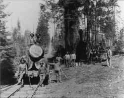 Logging operation of Charles E. Fuller of Markhams