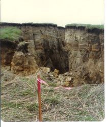 View of the damage caused by a landslide at 2540 Blucher Valley Road, south of Sebastopol, California, April 1983