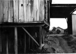 Fruit dryer and packinghouse in west Sebastopol, California