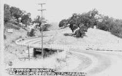 Redwood Highway near Healdsburg, California, about 1920