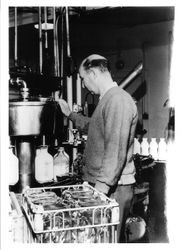 Interior of Miller's Dairy with Don Meacham bottling milk in 1970