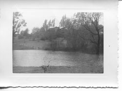 1951 flood in the Laguna de Santa Rosa area of Sebastopol