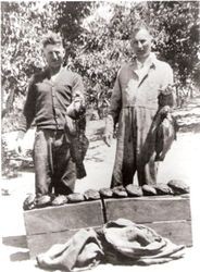 Ivan Roberts and Herman Buehn with abalone in foreground on apple boxes and the men holding strings of fish at Roberts Farm, 1940s