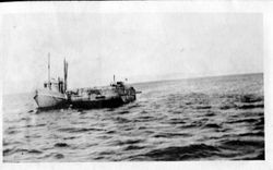 Two fishing boats on Bodega Bay, about 1910