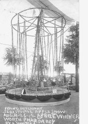 1912 Gravenstein Apple Show display labeled "Flying Dutchman A prize Winner Worth Pharmacy by A. Walter."