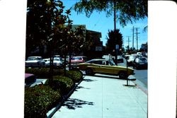 View west on Bodega Avenue near the O'Leary Funeral Home at 7151 Bodega Avenue, Sebastopol, California, about 1977