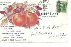 1913 Gravenstein Apple Show advertisement postcard, postmarked and with a 1 cent stamp