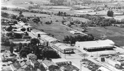 Aerial view of the O. A. Hallberg and Sons Cannery and O. A. Hallberg and Sons Cold Storage Plant in Graton looking south, about 1955