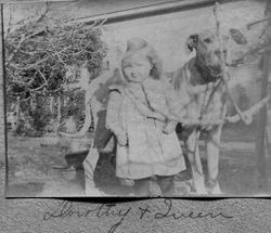 Dorothy Harmon and dog Queen, about 1906