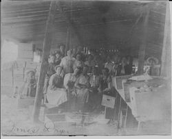 Sorting and packing crew inside the T.J. Janes packinghouse and dryer Graton, California in 1906