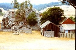 Unidentified old barn, fence trees and huge boulder, 1982