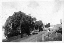 Bodega Bay highway looking north, about 1918